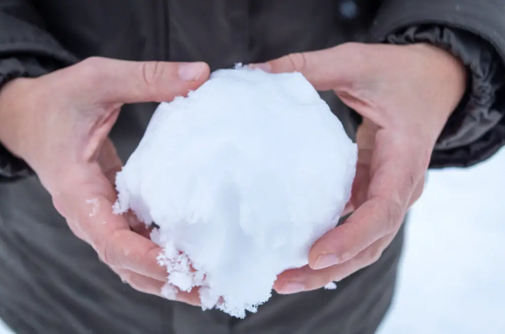 muecken-im-winter-bekaempfen