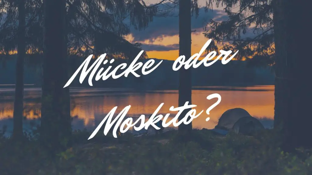 Mücke oder Moskito